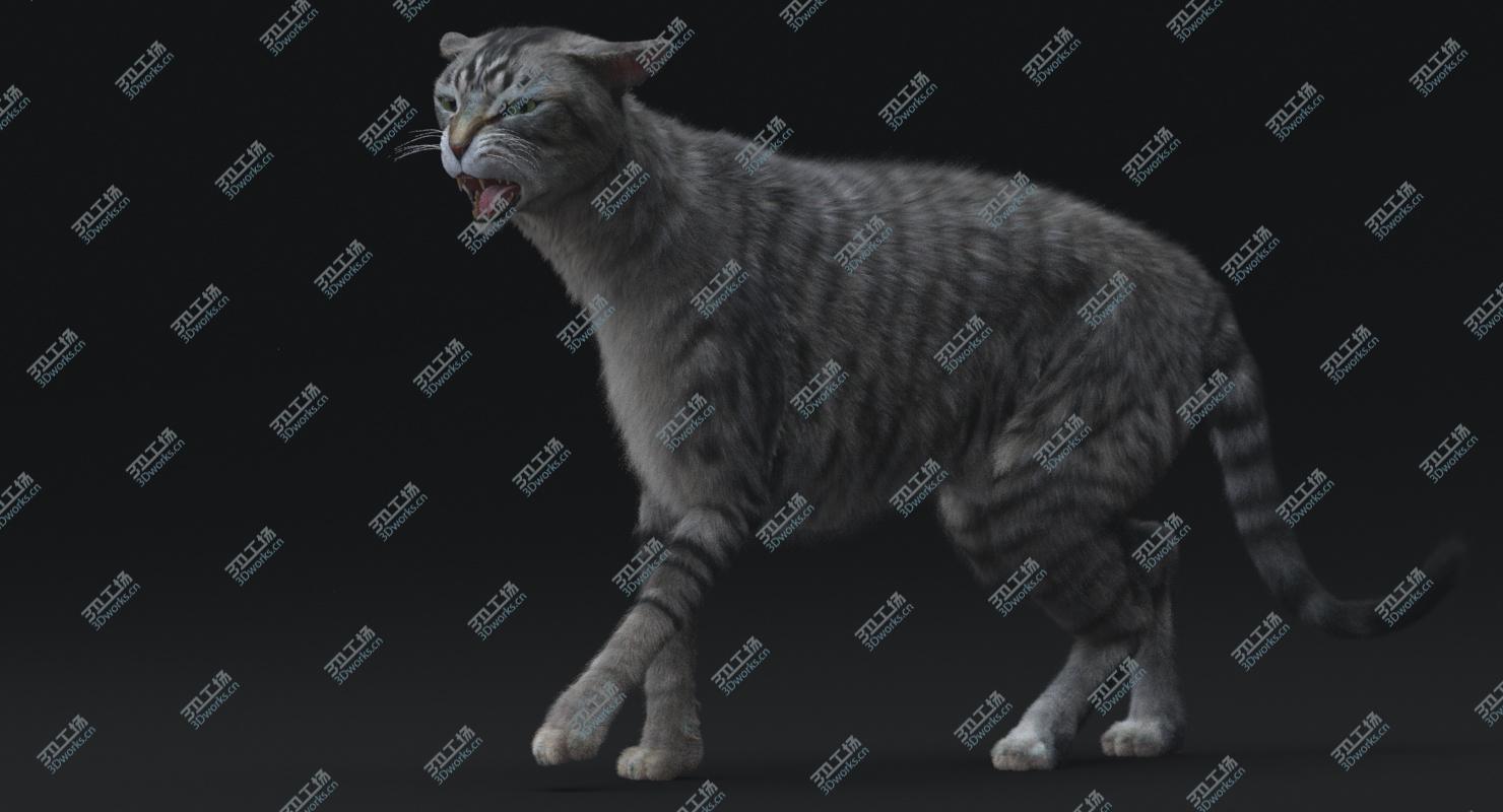 images/goods_img/202105072/Cat (Mackerel Tabby)RIGGED 3D model/5.jpg